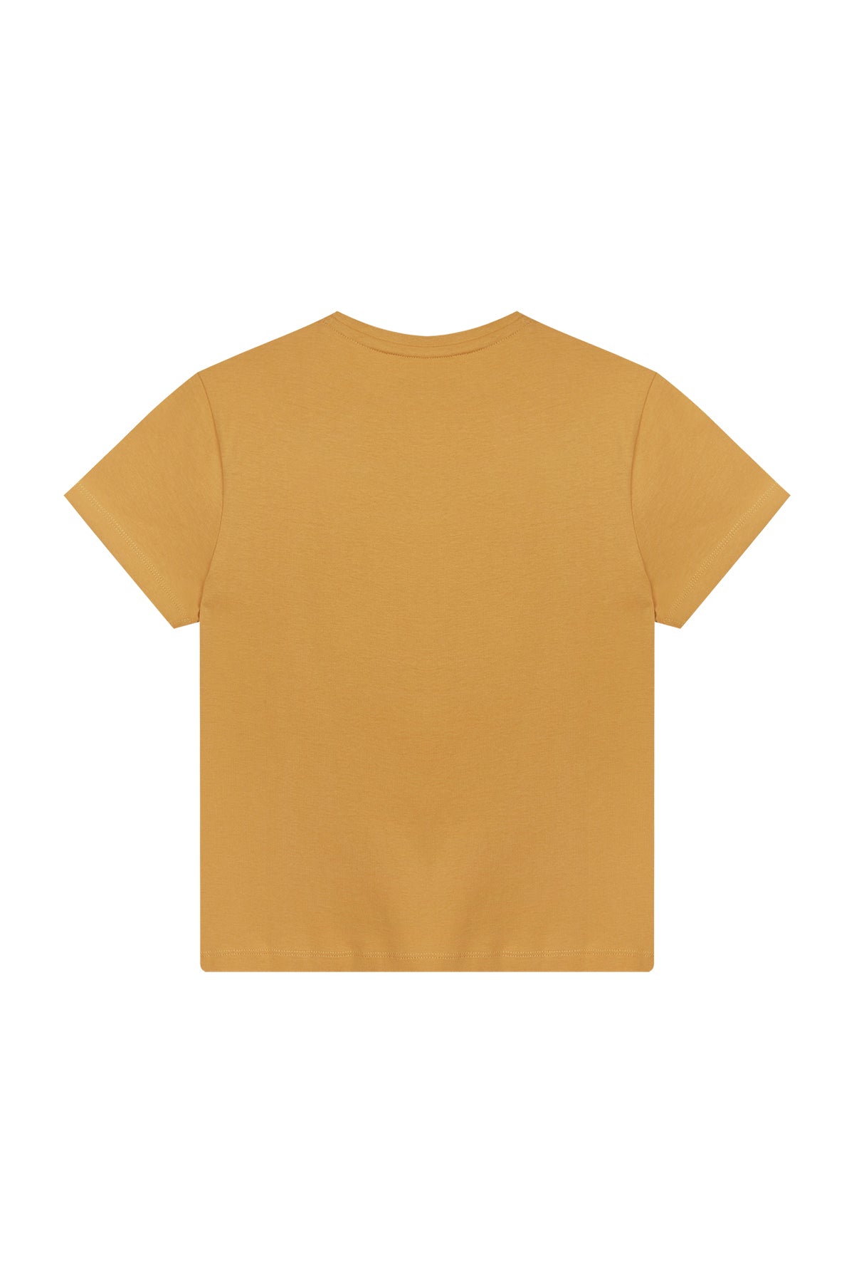 CAMISETA NIÑO GREENLAND MAP MOSTAZA