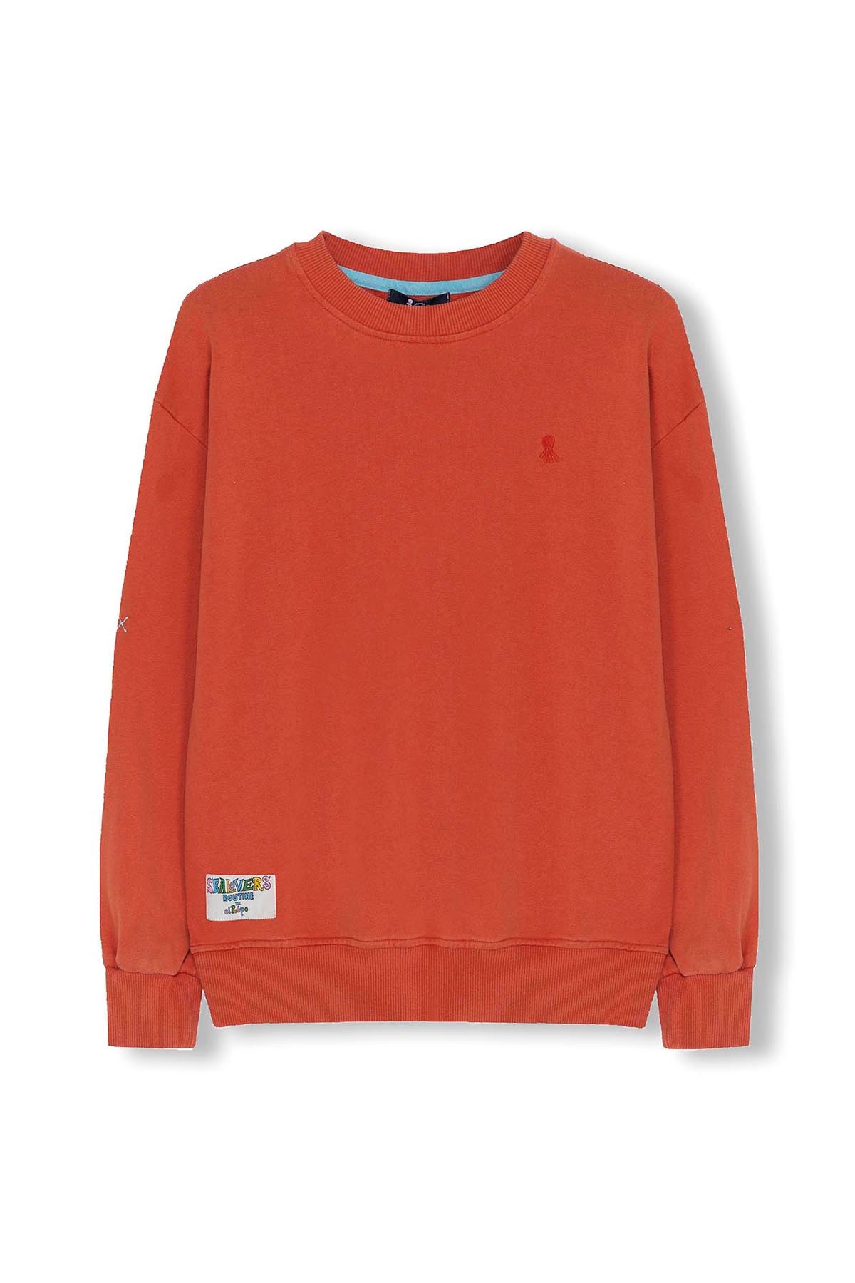 SWEATSHIRT BORDADO TOM-TOM PARA MENINO ELPULPO TERRACOTA