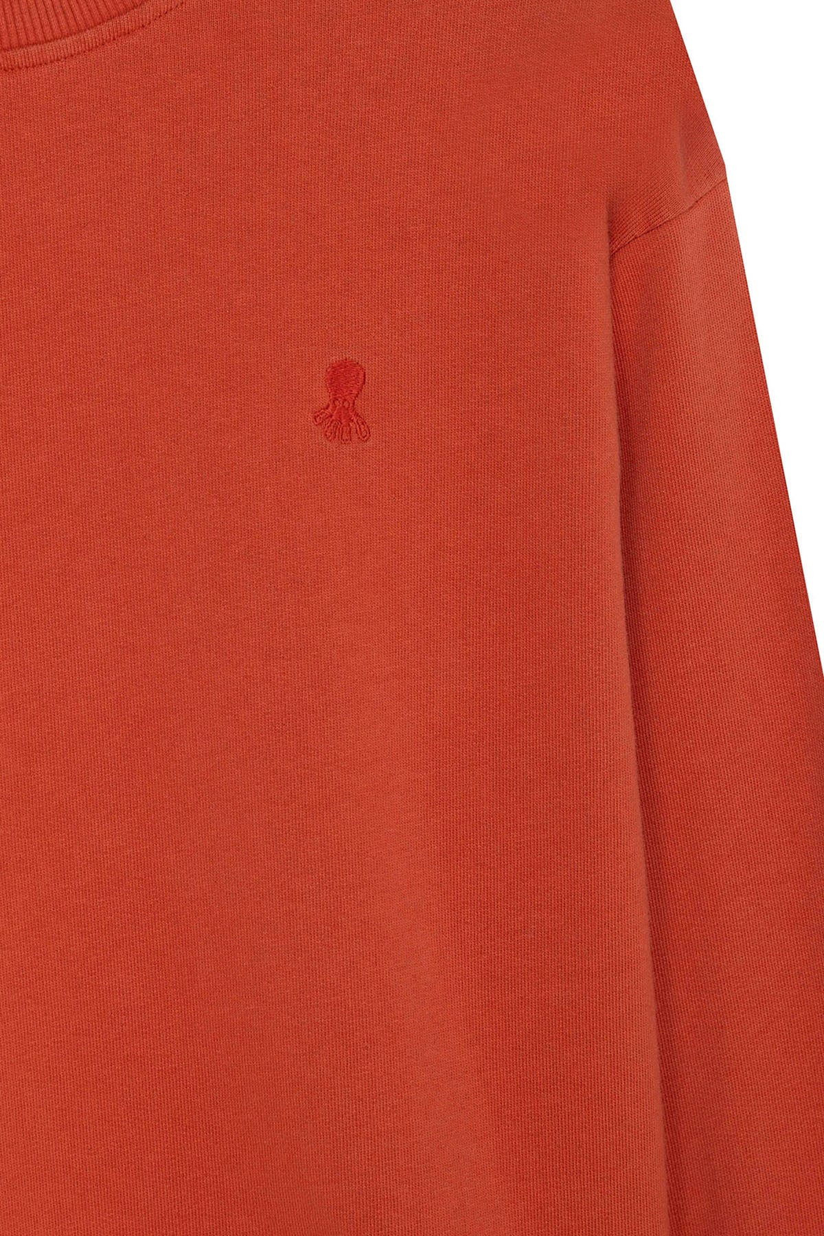 SWEATSHIRT BORDADO TOM-TOM PARA MENINO ELPULPO TERRACOTA