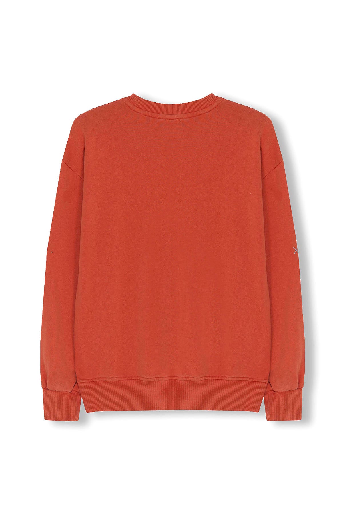 SWEATSHIRT BORDADO TOM-TOM PARA MENINO ELPULPO TERRACOTA