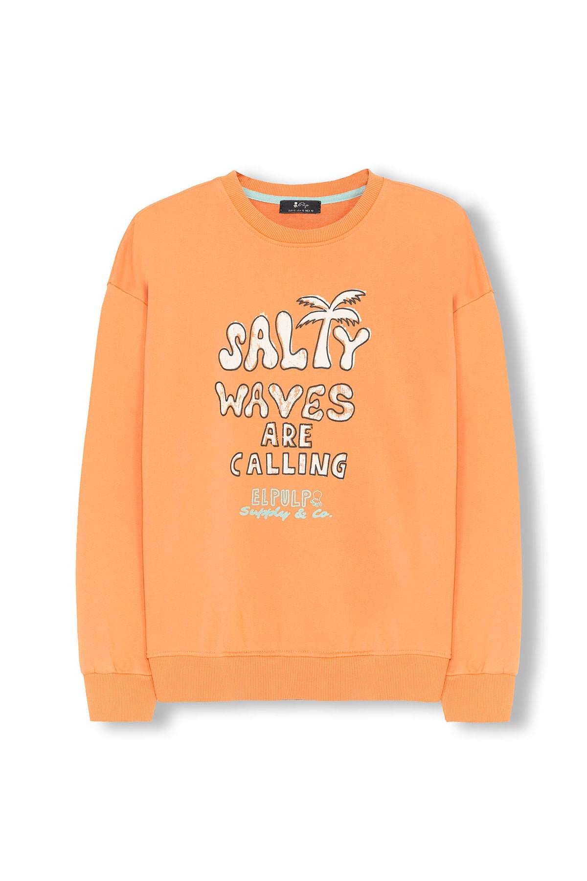 SWEATSHIRT MASCULINO SALTY WAVES PEACH OVERSIZED