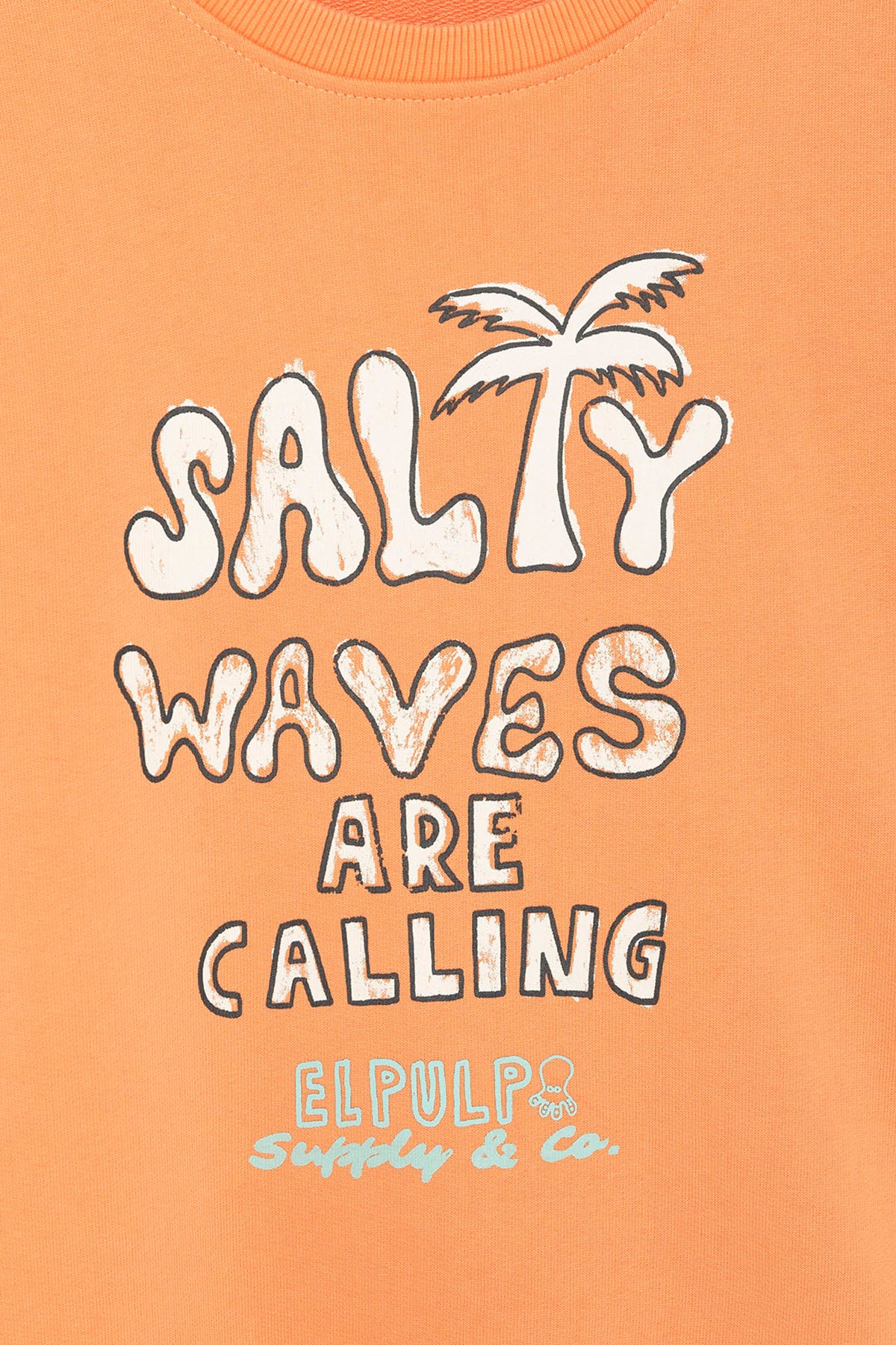 SWEATSHIRT MASCULINO SALTY WAVES PEACH OVERSIZED
