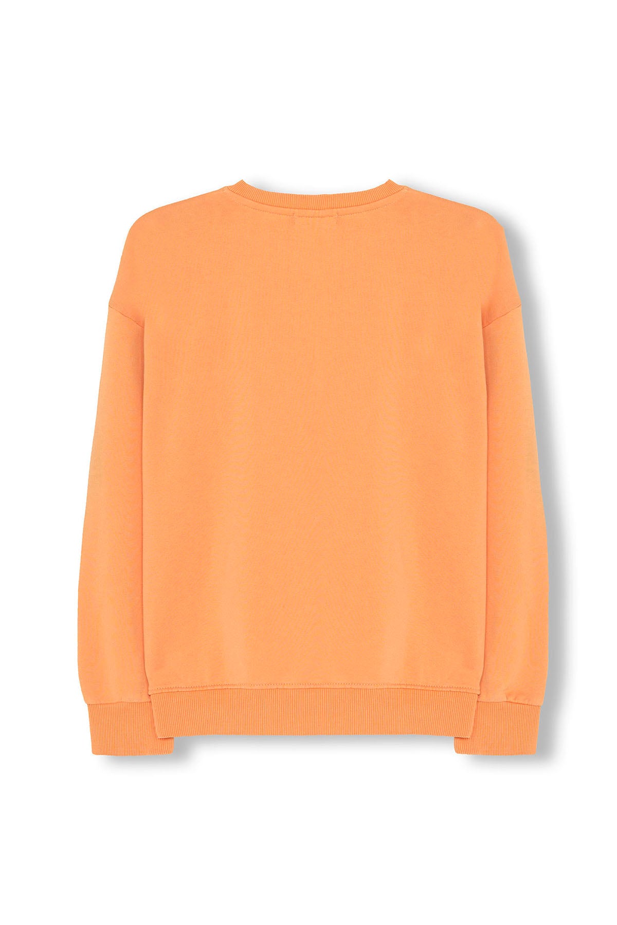 SWEATSHIRT MASCULINO SALTY WAVES PEACH OVERSIZED