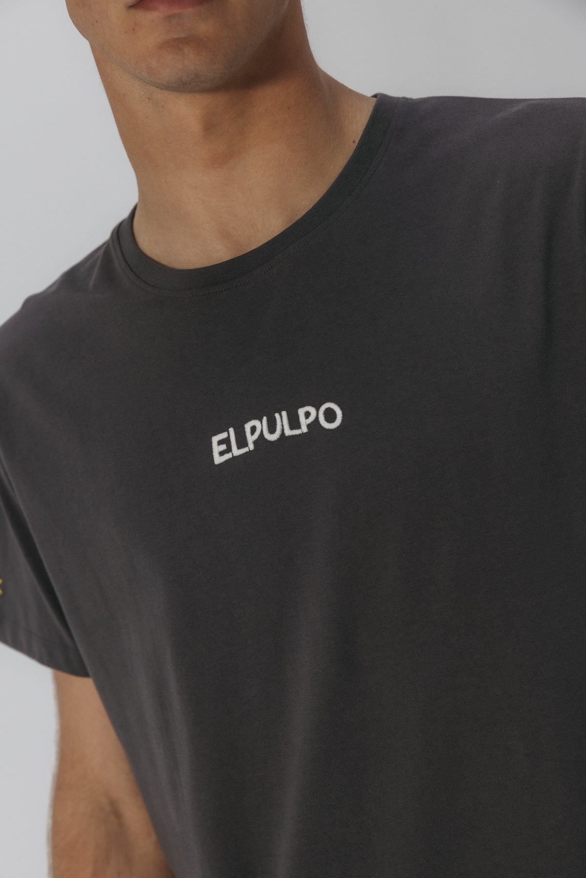 CAMISETA ADVENTURE IN THE ARTIC ANTRACITA