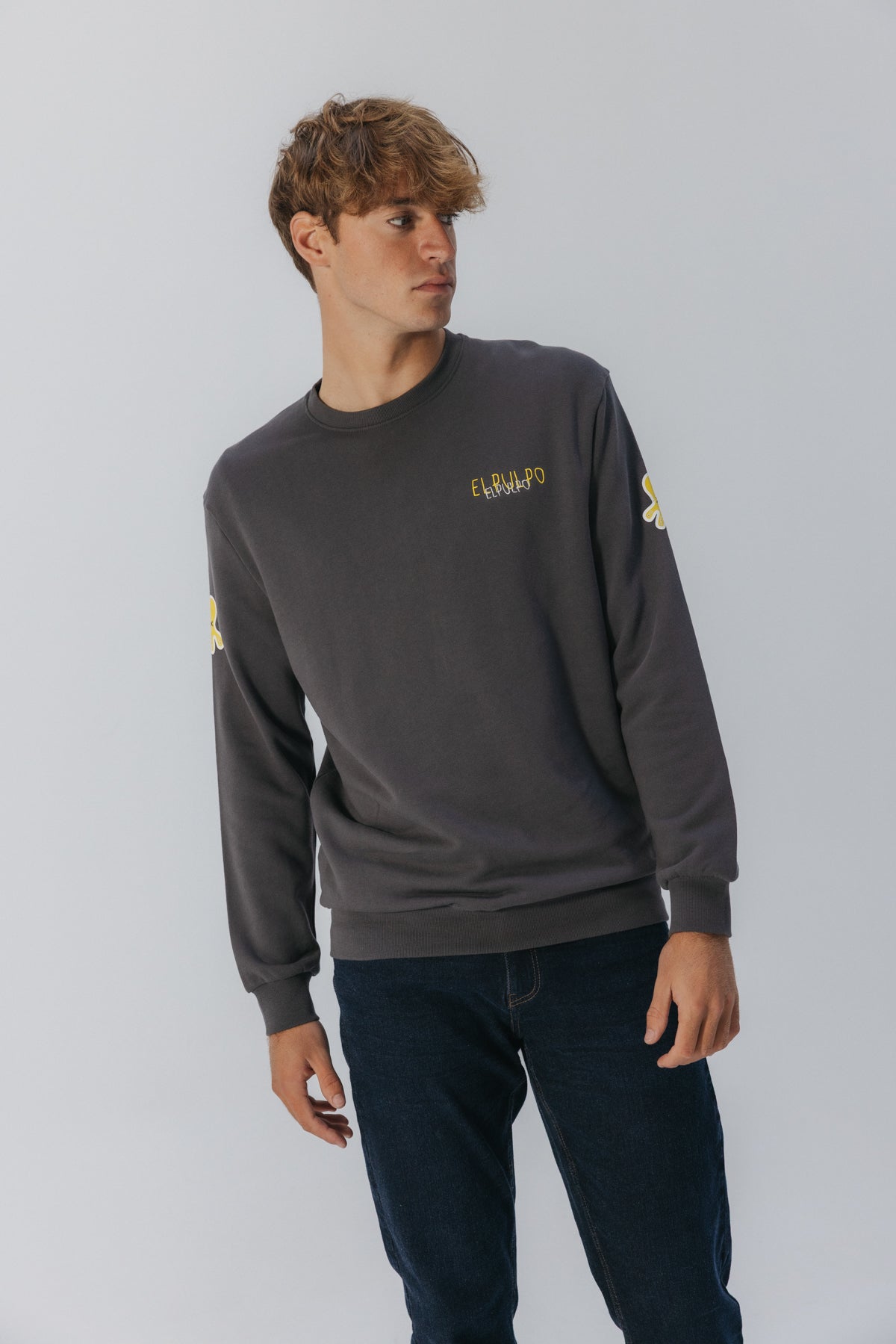 SUDADERA ESTAMPADO TRIPLE LOGO DESGASTADO ANTRACITA