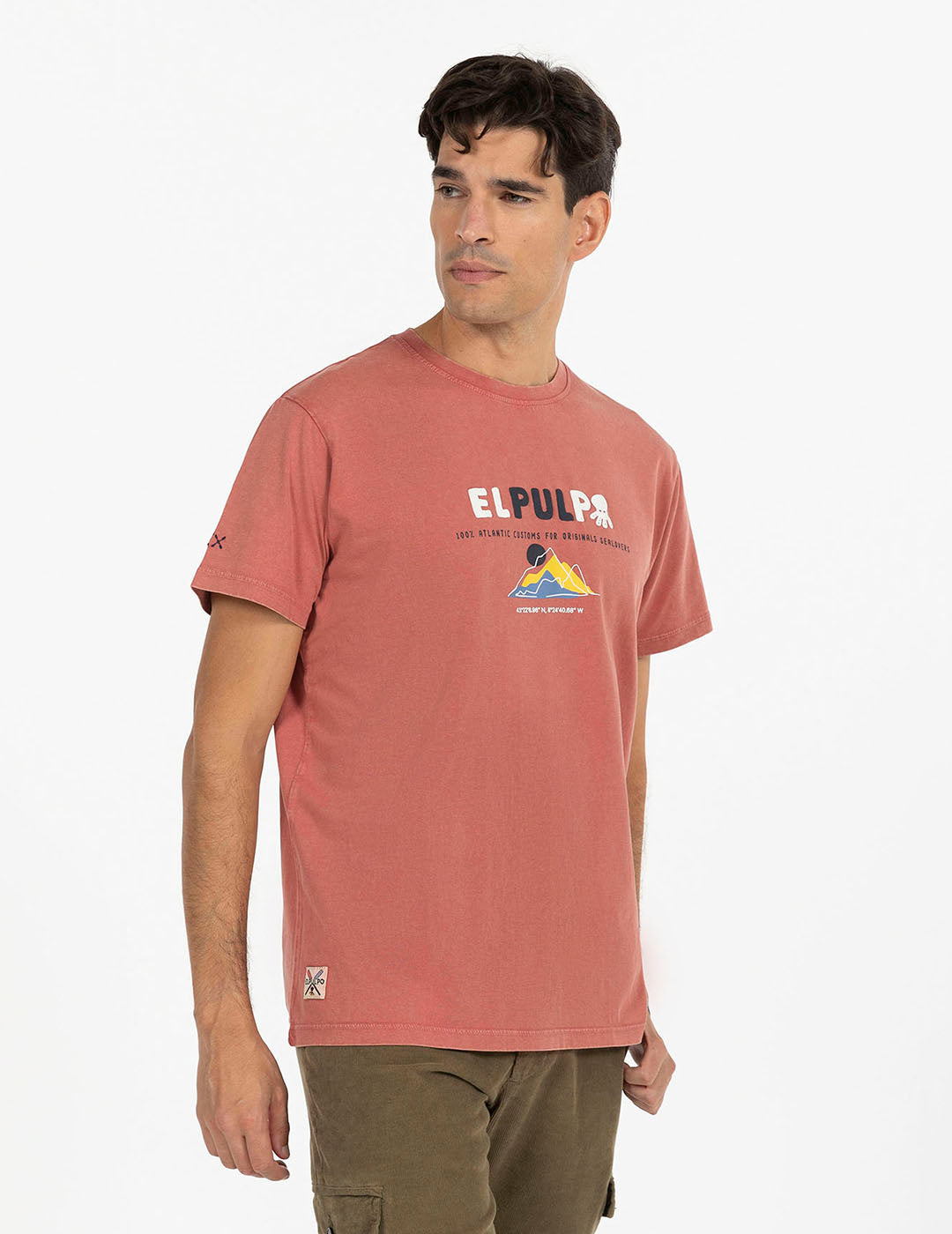 PINK FLAMINGO MOUNTAIN PRINTED T-SHIRT