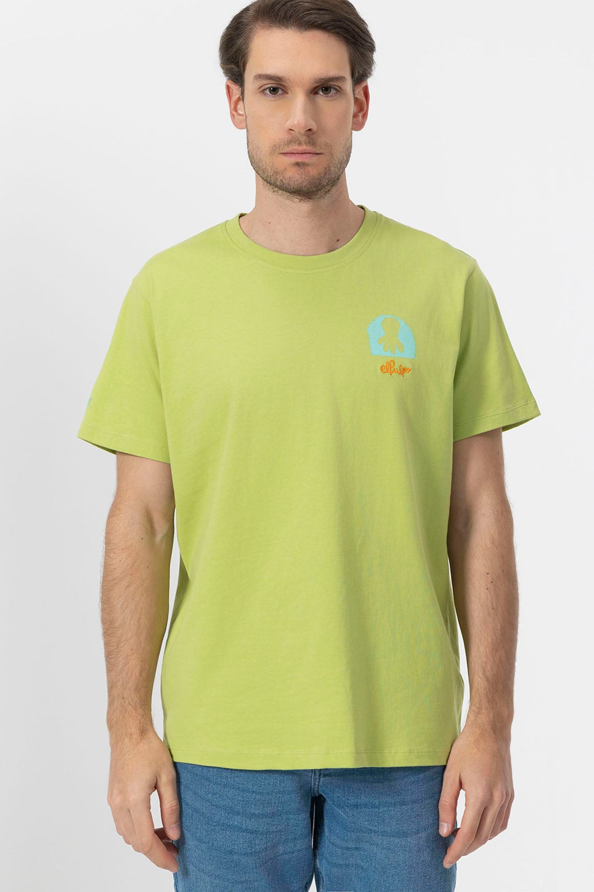 PISTACHIO GREEN DESERT PRINT T-SHIRT