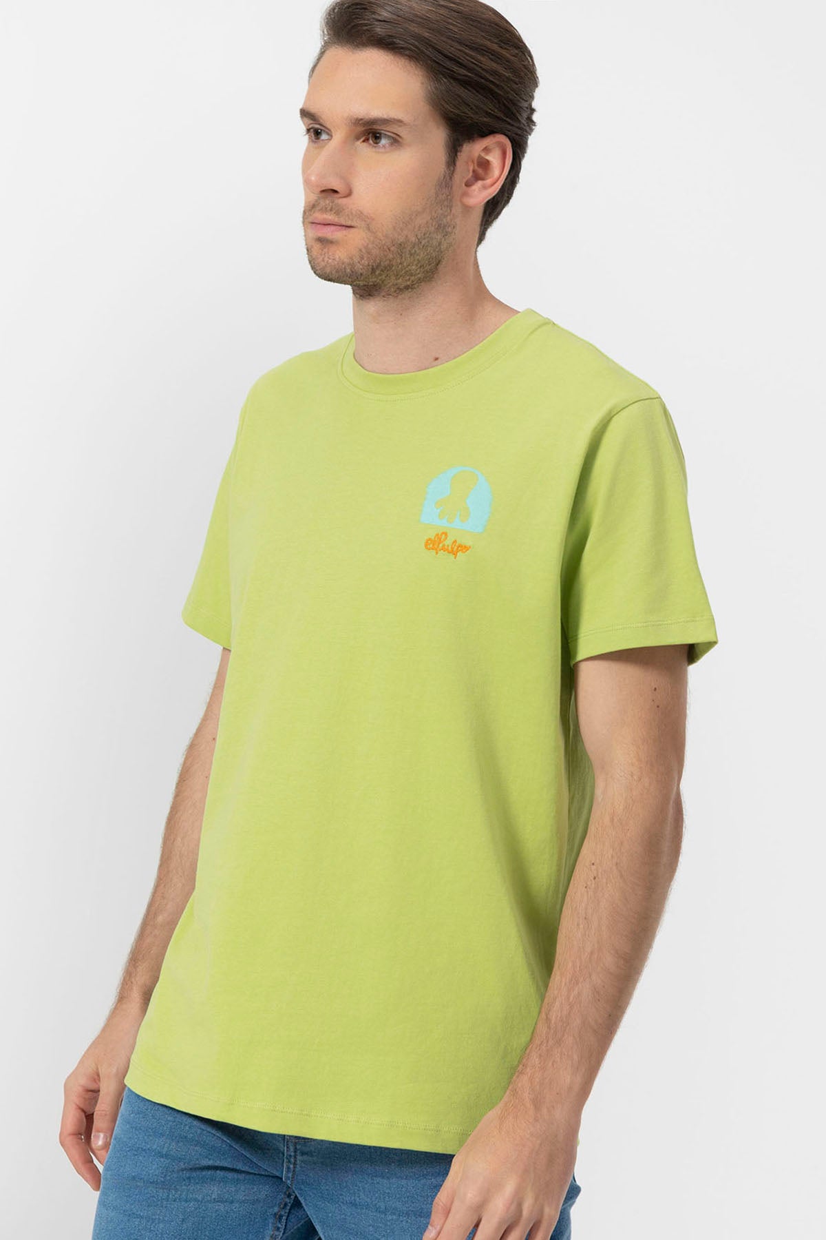 CAMISETA ESTAMPADO DESIERTO VERDE PISTACHO