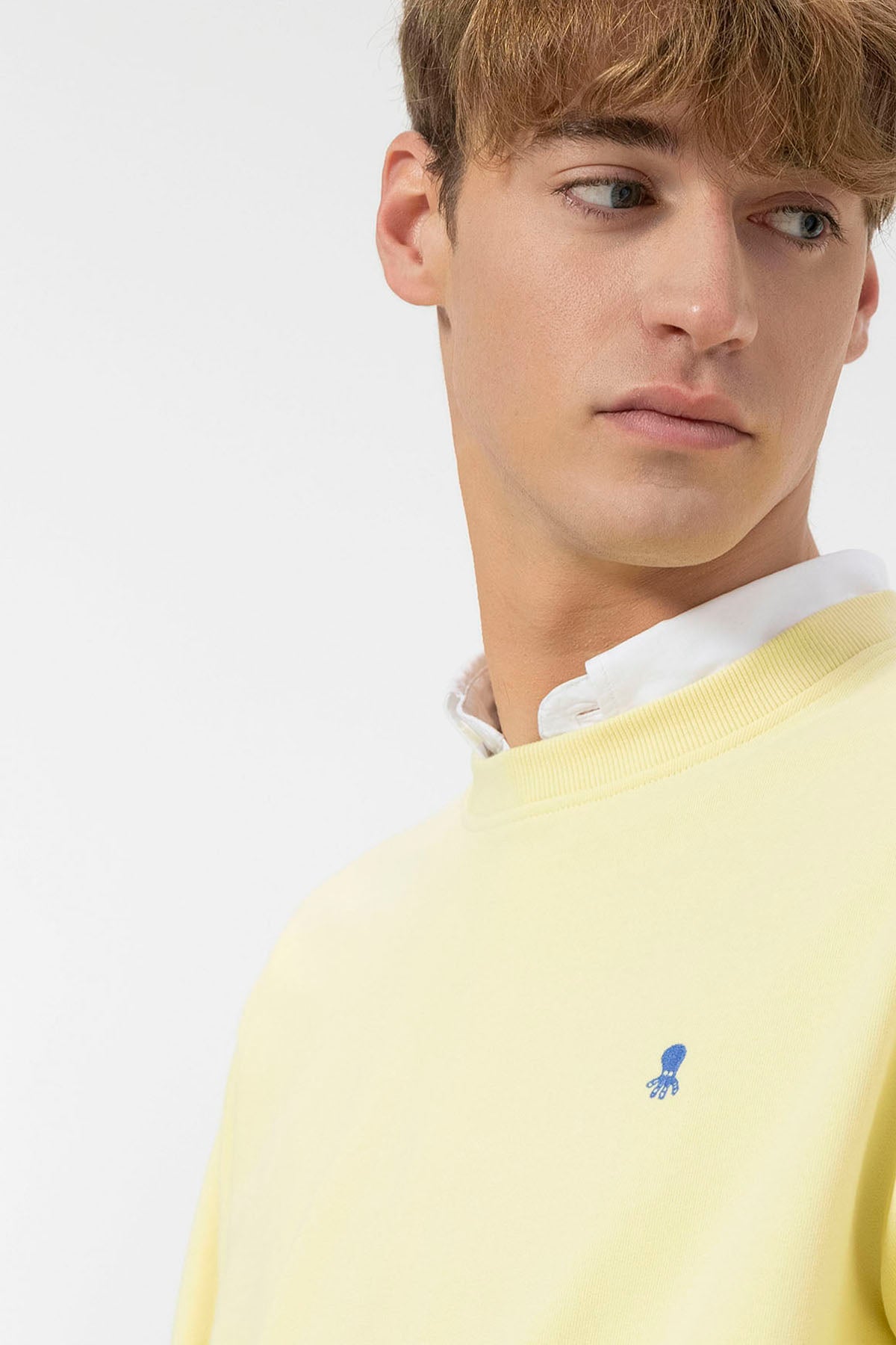 BASIC SWEATSHIRT WITH CONTRAST EMBROIDERY IN LEMON YELLOW