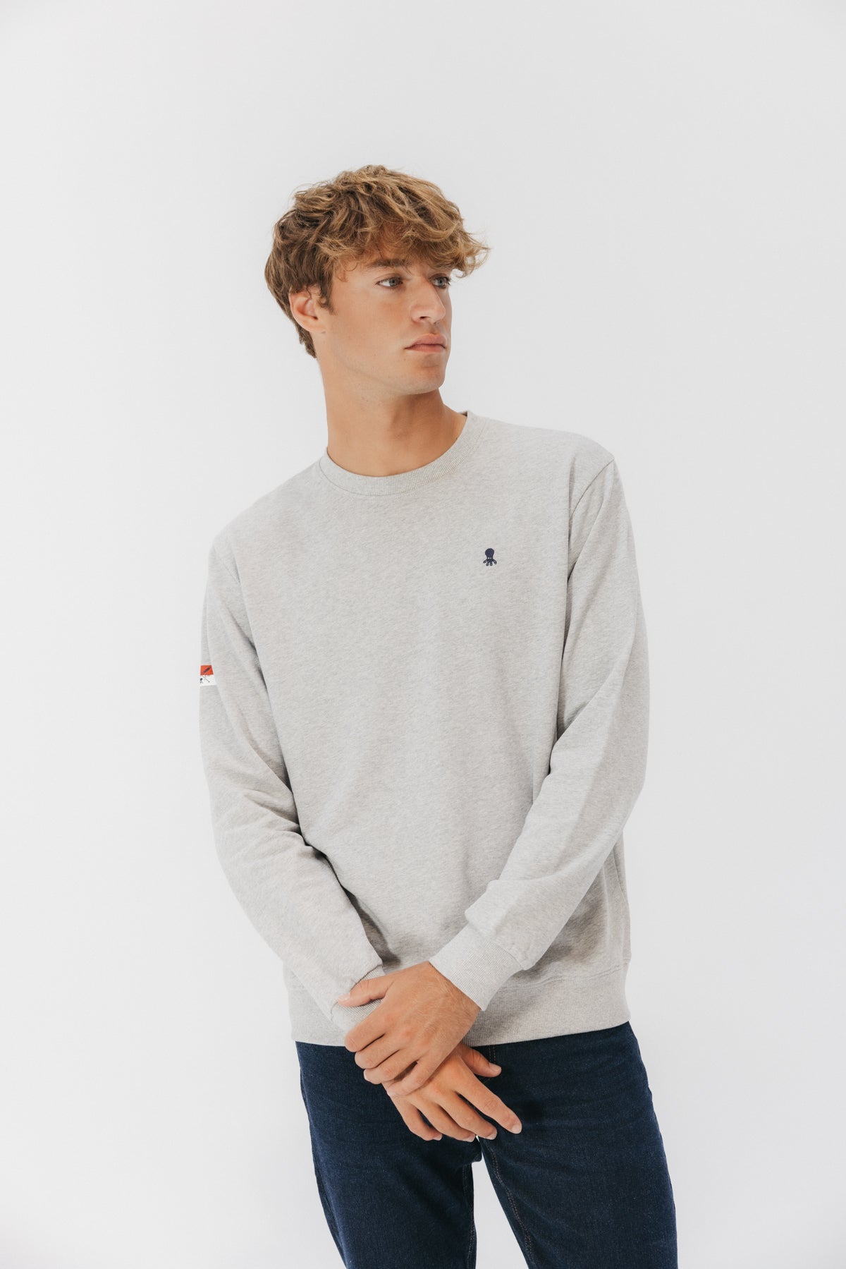 Sudadera bordado heritage gris vigoré