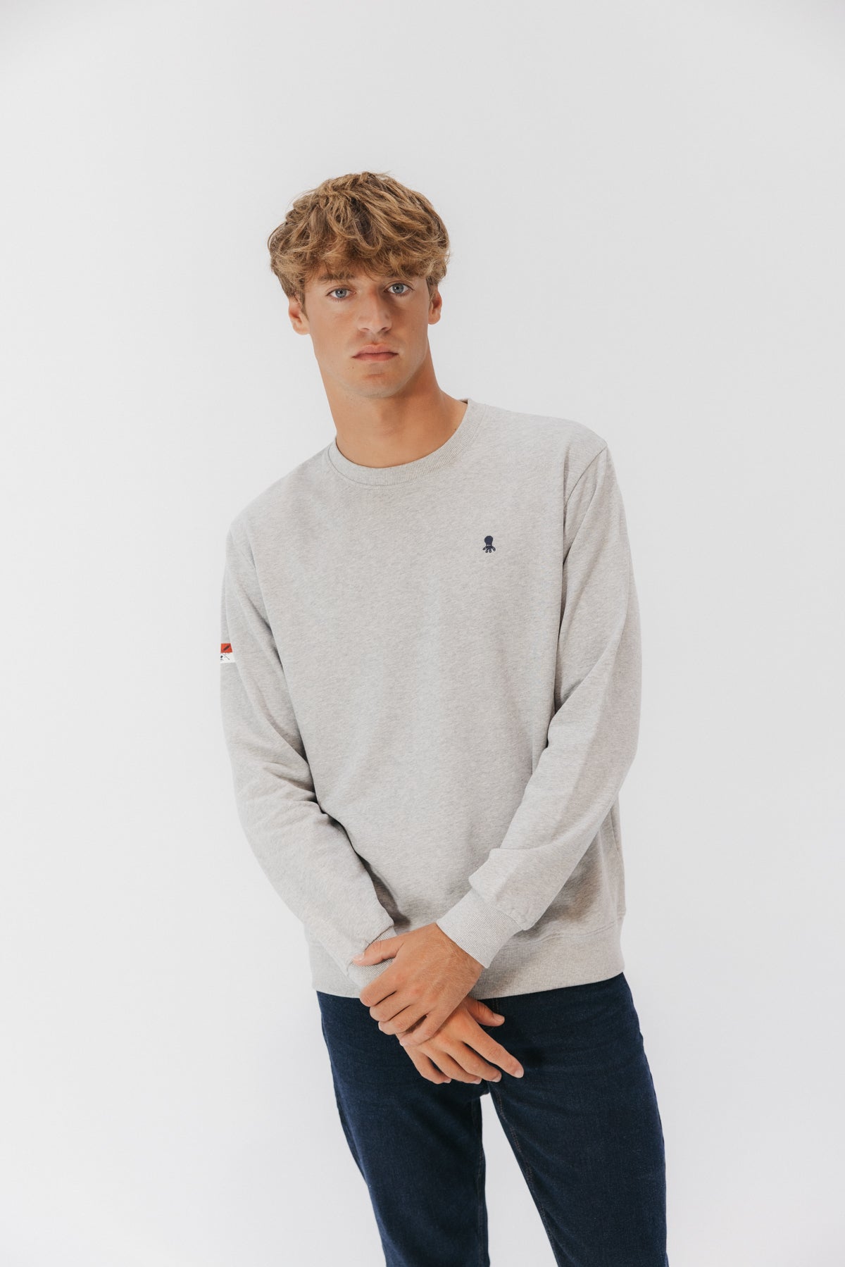 Sudadera bordado heritage gris vigoré