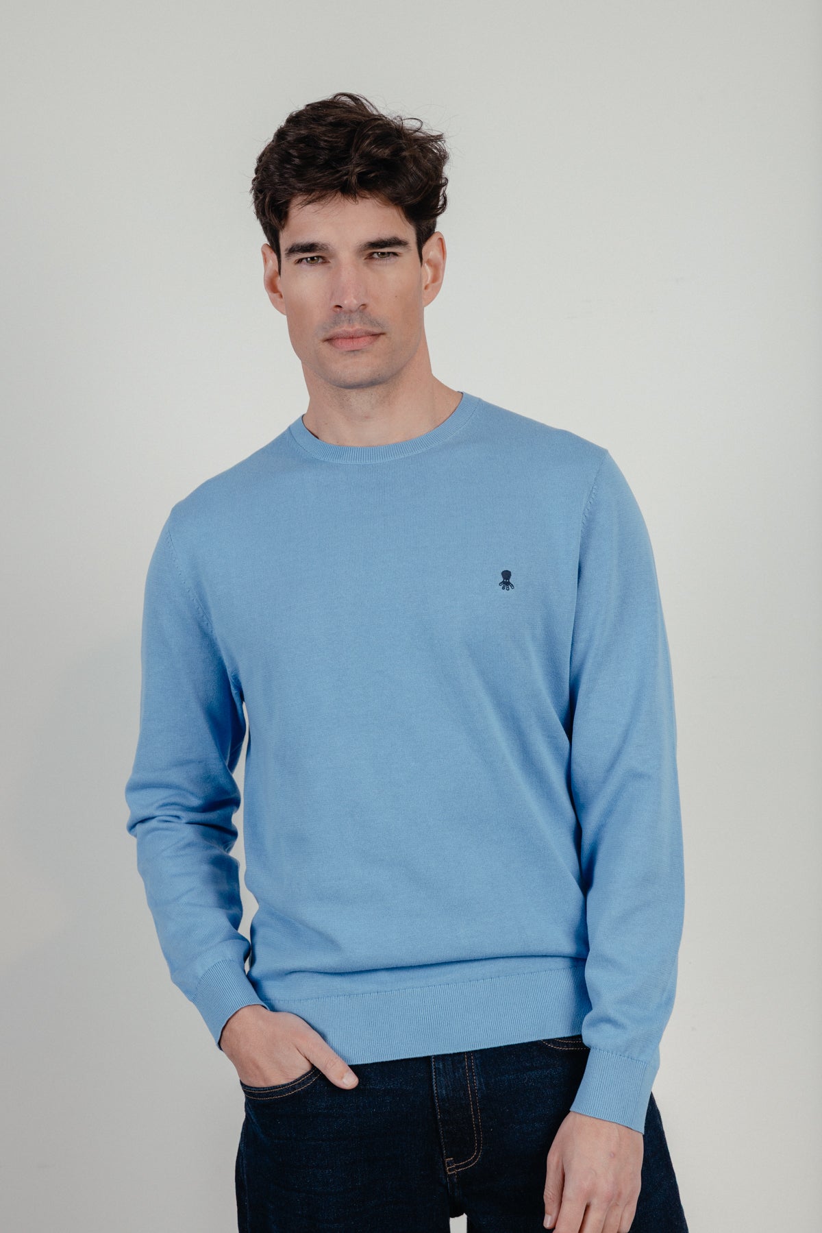 Jersey logo bordado azul lavanda