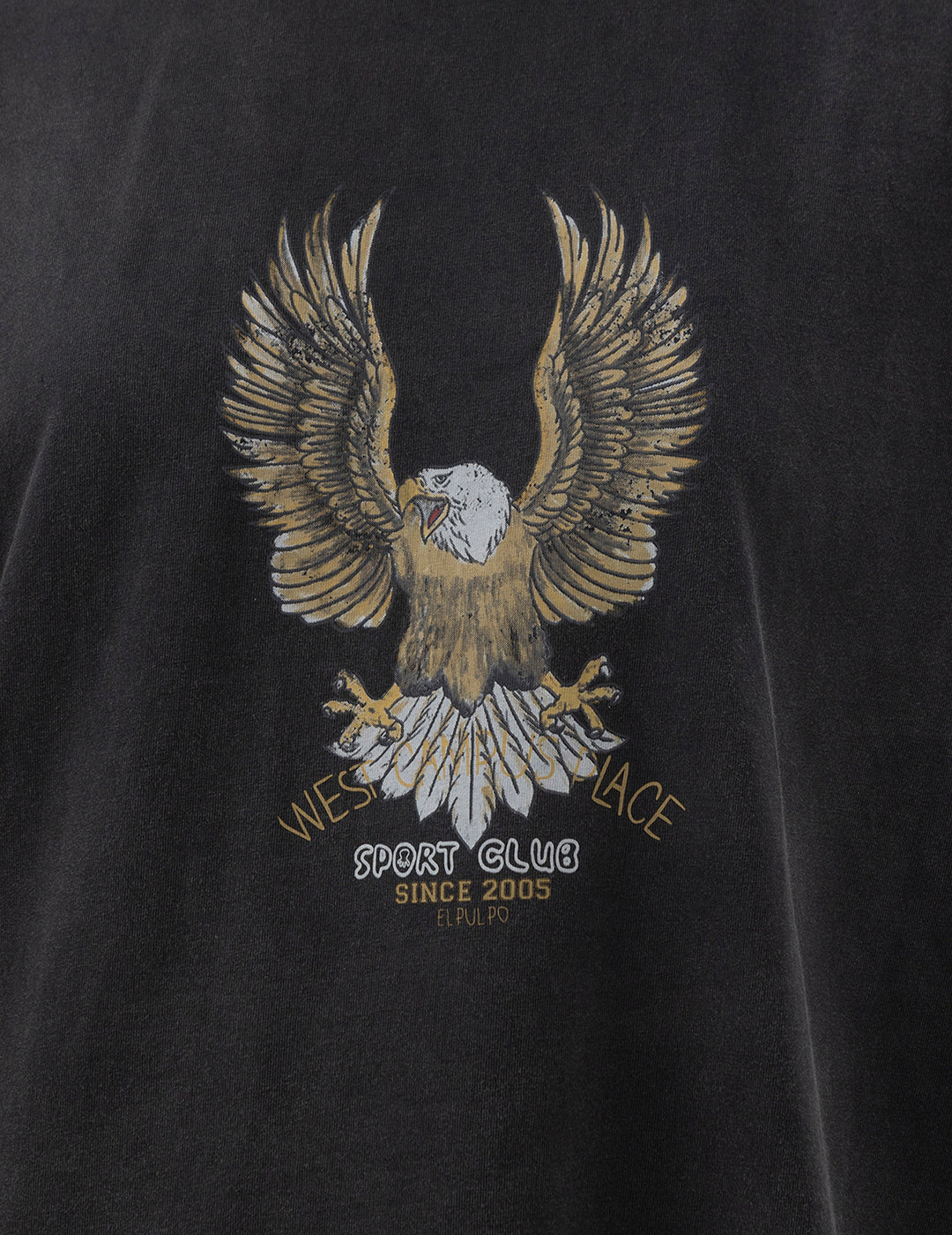 TEEN BLACK EAGLE DELAVÉ T-SHIRT