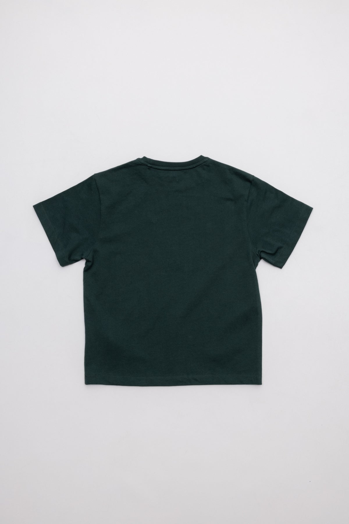 CAMISETA NIÑO NORTHERNLIGHTS VERDE BOTELLA