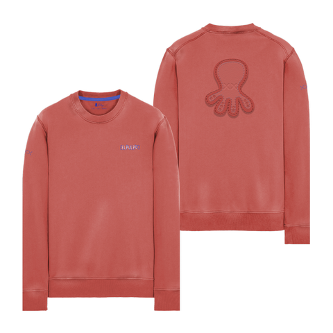 SUDADERA LOGO TEJIDO ROJO DELAVÉ