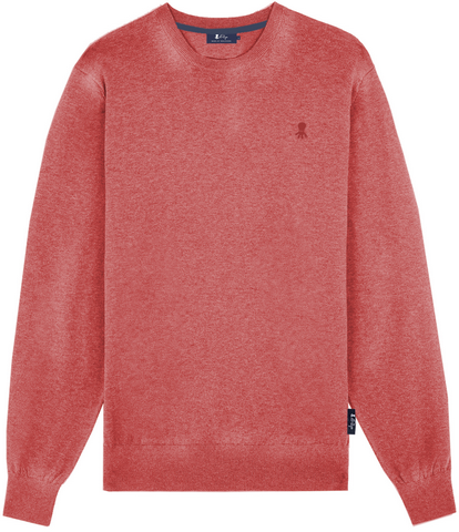 JERSEY LAVADO BÁSICO LOGO ROJO DELAVÉ